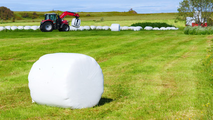Bale of hay wrapped in plastic foil, Norway © Voyagerix