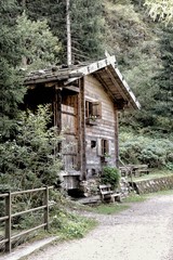 old house in forest
