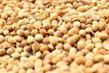coriander in the street on the sunlight