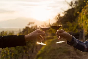 Zelfklevend Fotobehang Two hands clinking red wine glass in a Vineyard during sunset © NDStock