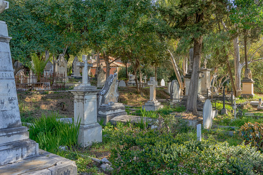 antiguo cementerio ingles de la provincia de M&aacute;laga	