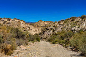 Fototapeta na wymiar Tabernas desert, in spanish Desierto de Tabernas, Andalusia, Spain