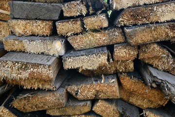 Sawed a lot of firewood