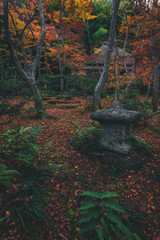 京都 祇王寺の紅葉と秋景色