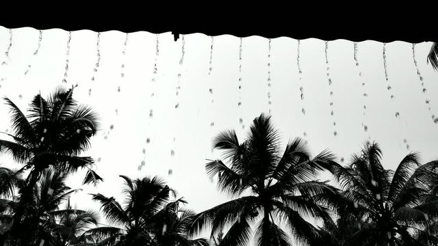 Slow motion video of Raindrops falling from terrace with silhouette of coconut trees on the background.