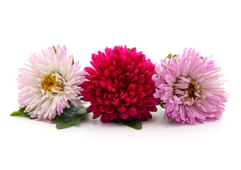 Three chrysanthemum and leaves.