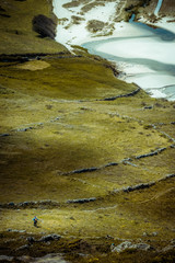 guy walking in Galicia (SPAIN)