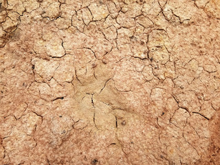 The ground has cracks in the top view for the background
