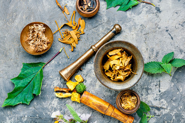 Various medical herbs and flowers