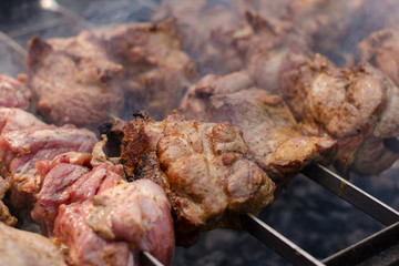 BBQ grilling, beef, pork. Close up barbecue.