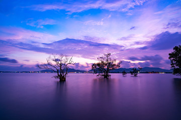 Fototapeta na wymiar Long exposure image of Dramatic sky seascape with silhouette trees in sunset scenery background
