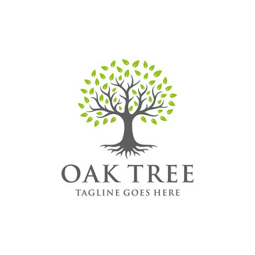 Illustration of Tree of Life Stamp Seal Emblem Oak design