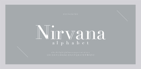 Elegant alphabet letters font and number. Classic Lettering Minimal Fashion Designs. Typography fonts numbers serif uppercase and lowercase. vector illustration