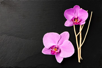 Obraz na płótnie Canvas Flower arrangement of orchids.