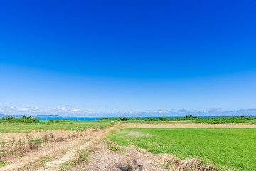 小浜島の風景