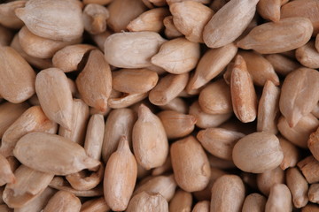 Shelled Hazelnut and shelled sunflower seeds.