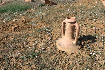 Shards of amphora on ground