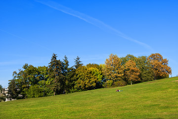 Fototapeta na wymiar Park Background Landscape