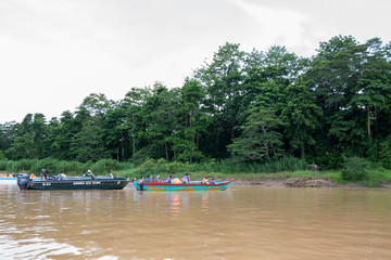 Fototapeta na wymiar Safari en el rio kinabatangan