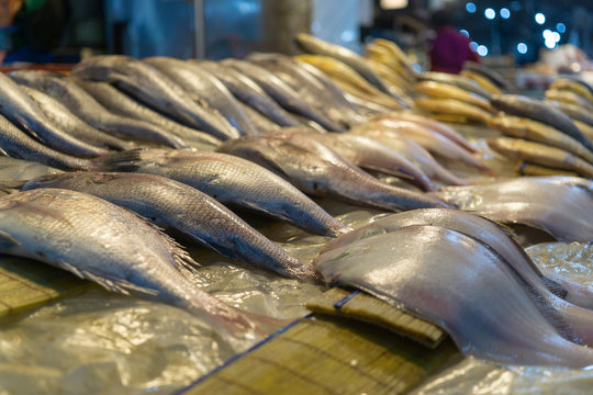 fish hanging street market in Jukdo Pohang - Korea