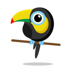 toucan flat vector © Jexy