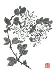 Chrysanthemum as a symbol of Japan and China. Contour   flowers and leaves. Traditional oriental ink painting sumi-e, u-sin, go-hua. .Stylized red print with hieroglyphs.
