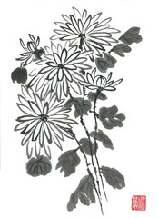 Chrysanthemum as a symbol of Japan and China. Contour   flowers and leaves. Traditional oriental ink painting sumi-e, u-sin, go-hua. .Stylized red print with hieroglyphs.