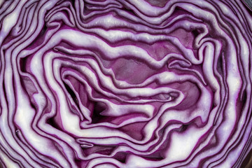 Background of the blue cabbage in the cut. Close up, top view. Texture raw purple cabbage