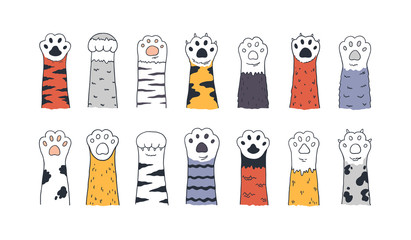 Cat paws. Doodle animal foot, cute cartoon kitten and puppy paws, wild and domestic animals foots. Vector drawing kitty and dog different breed pet set on white background © SpicyTruffel