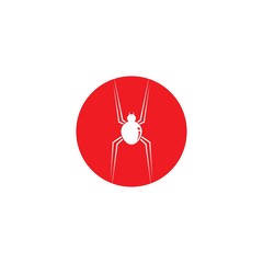 Spider logo template. Spider icon. Flat spider