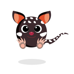 quoll flat vector