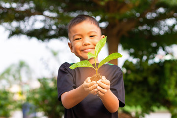 Soft focus. Happy Asian child boy hands holding a little green plant with soil. Growing tree....