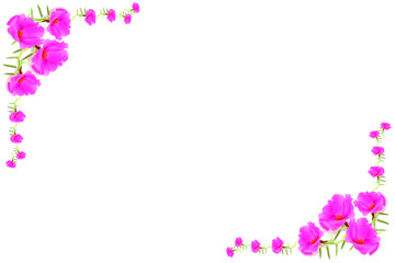Frame from pink flowers on white background, clipping path
