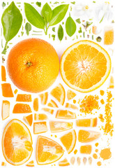 Orange Collection Abstract