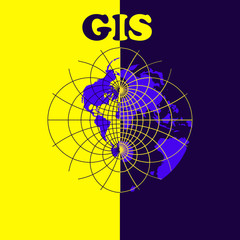 Web mapping and gis banner in two colors