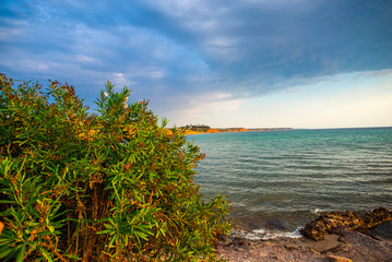 Landscape at the sea in Kassandra, Greece