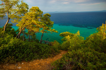 Landscape at the sea in Kassandra, Greece