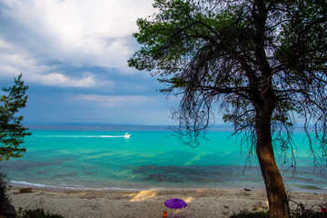 Landscape at the sea in Kassandra, Greece