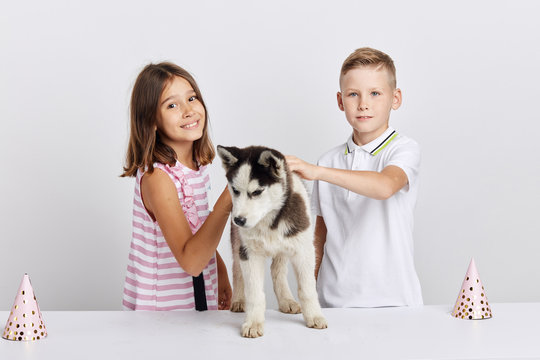 little kids celebrating birthday of their pet, isolated white background, celebration, lifestyle