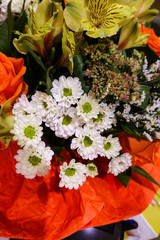 A bouquet of different flowers close-up. Floral holiday background