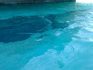 Fresh Pool Water Wave In The Tropical Garden Park On A Sunny Day