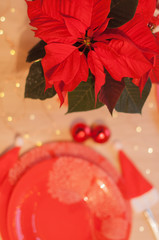 Red bouquet of poinsettia on a dining table with holiday lights behind.