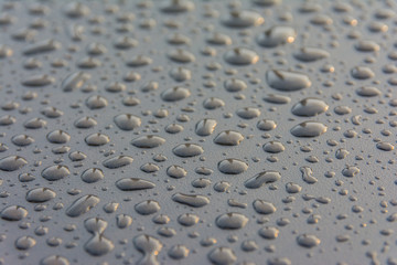 Water drops with sunlight background