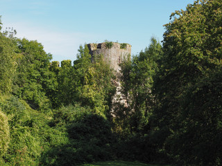 Fototapeta na wymiar Chepstow Castle ruins in Chepstow
