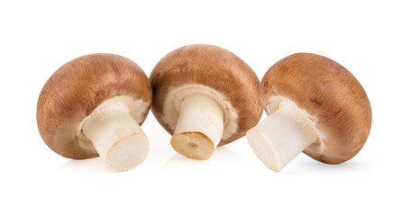 Fresh champignon mushrooms isolated on white background. full depth of field