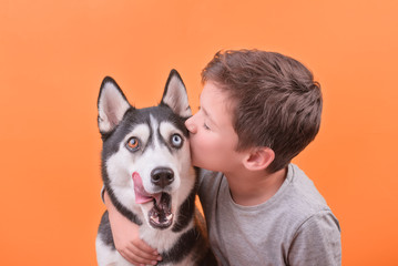 Brunette boy kissing his surprised dog  husky with lazy-eyes on the orange background, the concept of children's and dog emotions, of friendship © iwavephoto