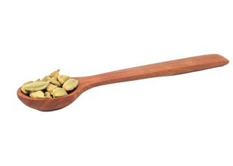 Green cardamom in spoon