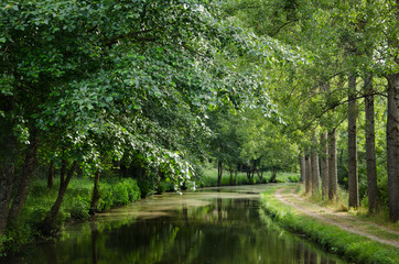 Fototapeta na wymiar chemin de halage au bord du canal avec des arbres