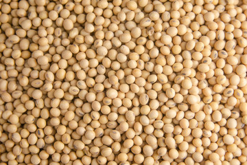 Soybean pattern as for background.