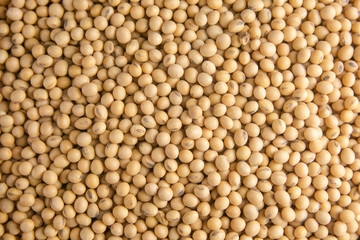 Soybean pattern as for background.